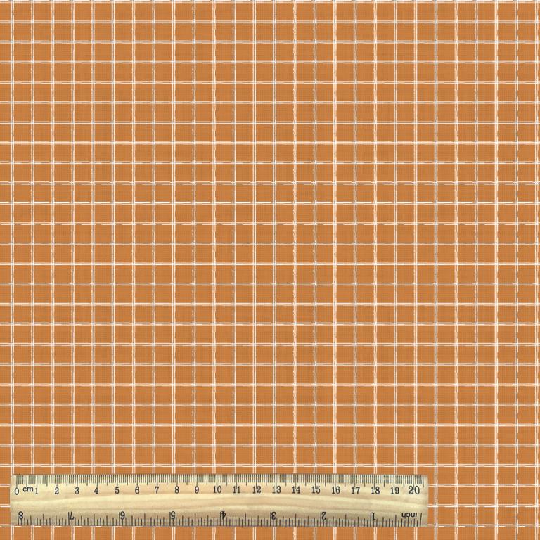 Tissu Coton Jules Blanc/Cassonade 10 x 150 cm